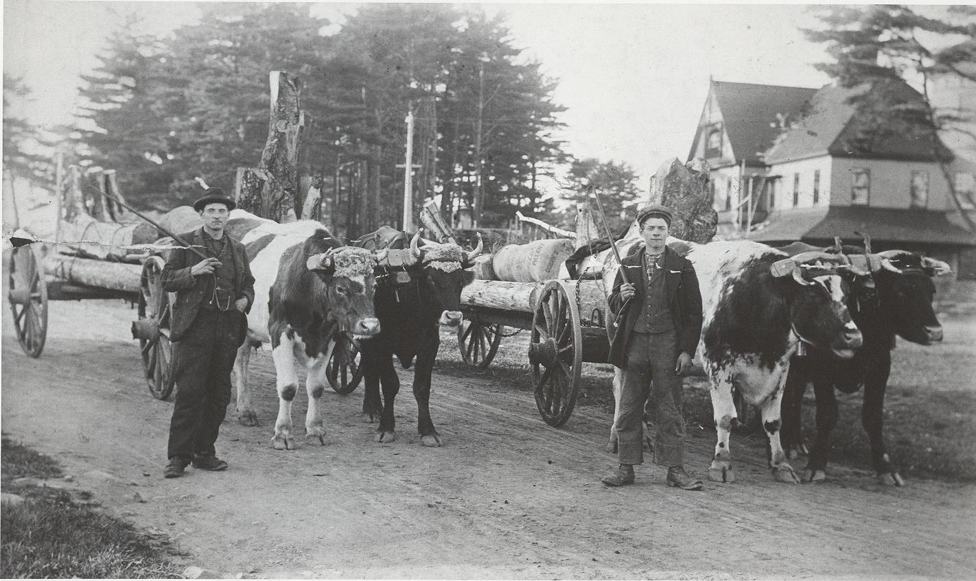 m.174 dbp281 a.hebbharold hebb at train station 1904